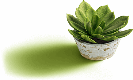 about-plant-img